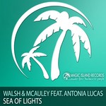 cover: Antonia Lucas|Walsh & Mcauley - Sea Of Lights