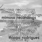 cover: Thiago Rodrigues - Racoon EP