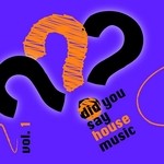 cover: Various - Did You Say House Music Vol 1 (unmixed tracks)