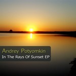 cover: Andrey Potyomkin - In The Rays Of Sunset