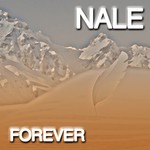 cover: Nale - Forever