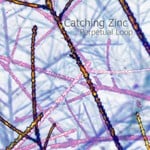 cover: Perpetual Loop - Catching Zinc