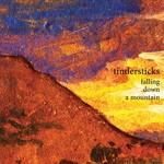 cover: Tindersticks - Falling Down A Mountain