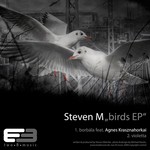 cover: Steven M - Birds EP