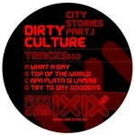 cover: Dirty Culture - City Stories: Part 1