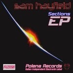 cover: Sam Hayfield - Sections