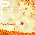 cover: Aqua & Arctic - iE