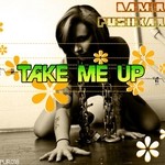 cover: Damir Pushkar - Take Me Up