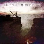 cover: Tudor Acid - Merri Portland