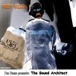 cover: The Sound Architect - Weepy Willow