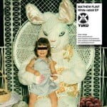 cover: Mathew Flint - White Rabbit