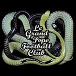 cover: Le Grand Popo Football Club - Venom In The Grass