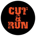 cover: Cut & Run - Magic Carpet