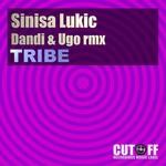 cover: Sinisa Lukic - Tribe