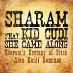 cover: Kid Cudi|Sharam - She Came Along