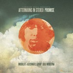 cover: Afternoons In Stereo - Promise