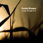 cover: Funky Dragon - Puls Of Life EP