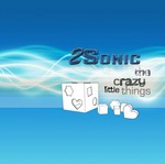 cover: 2sonic - The Crazy Little Things