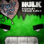 cover: Hulk - Techno Sucks