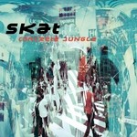 cover: Skat - Concrete Jungle