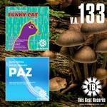 cover: Di Liberato|Dudu Nahas|Serrano, Gzuss - VA This Beat 133