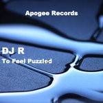 cover: Dj R - To Feel Puzzled