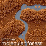 cover: Timonkey - Molecular Forest