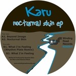 cover: Karu - Nocturnal Skin EP