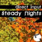 cover: Direct Input - Steady Nights EP