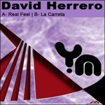 cover: David Herrero - Real Feel