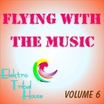 cover: Gianfranco Maffi|Pendesini, Fabrizio - Flying With The Music: Volume 6