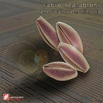 cover: Fabio Scalabroni - Spherical Harmonics