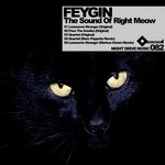 cover: Feygin - The Sound Of Right Meow