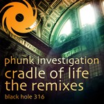 cover: Phunk Investigation - Cradle Of Life (remixes)