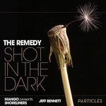 cover: The Remedy - Shot In The Dark