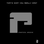 cover: Fanatical Groove - That's What You Really Want