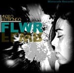 cover: Angelo Elettronico - Flwr