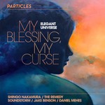 cover: Elegant Universe - My Blessing My Curse