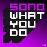 cover: Sono - What You Do