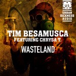 cover: Tim Besamusca - Wasteland