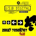 cover: Zoran Veselinov - Fluid