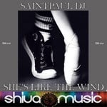 cover: Saintpaul Dj - She's Like The Wind