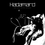 cover: Hadamard - We Go Into Space