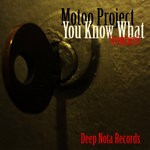 cover: Motoo Project - You Know What (remixes)