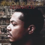 cover: Anthony Nicholson - Destination