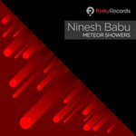 cover: Ninesh Babu - Meteor Showers