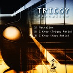 cover: Hazy|Triggy - Mechalion