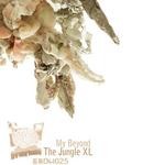 cover: The Jungle Xl - My Beyond