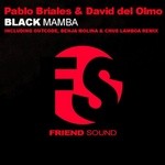 cover: Briales, Pablo|David Del Olmo - Black Mamba