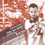 cover: Diamond Dealer - Feel My Spirit